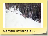 Campo invernale, in marcia